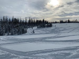 Read more about the article Please do not ride motorized equipment inside the Horseshoe Prairie non-motorized zone.