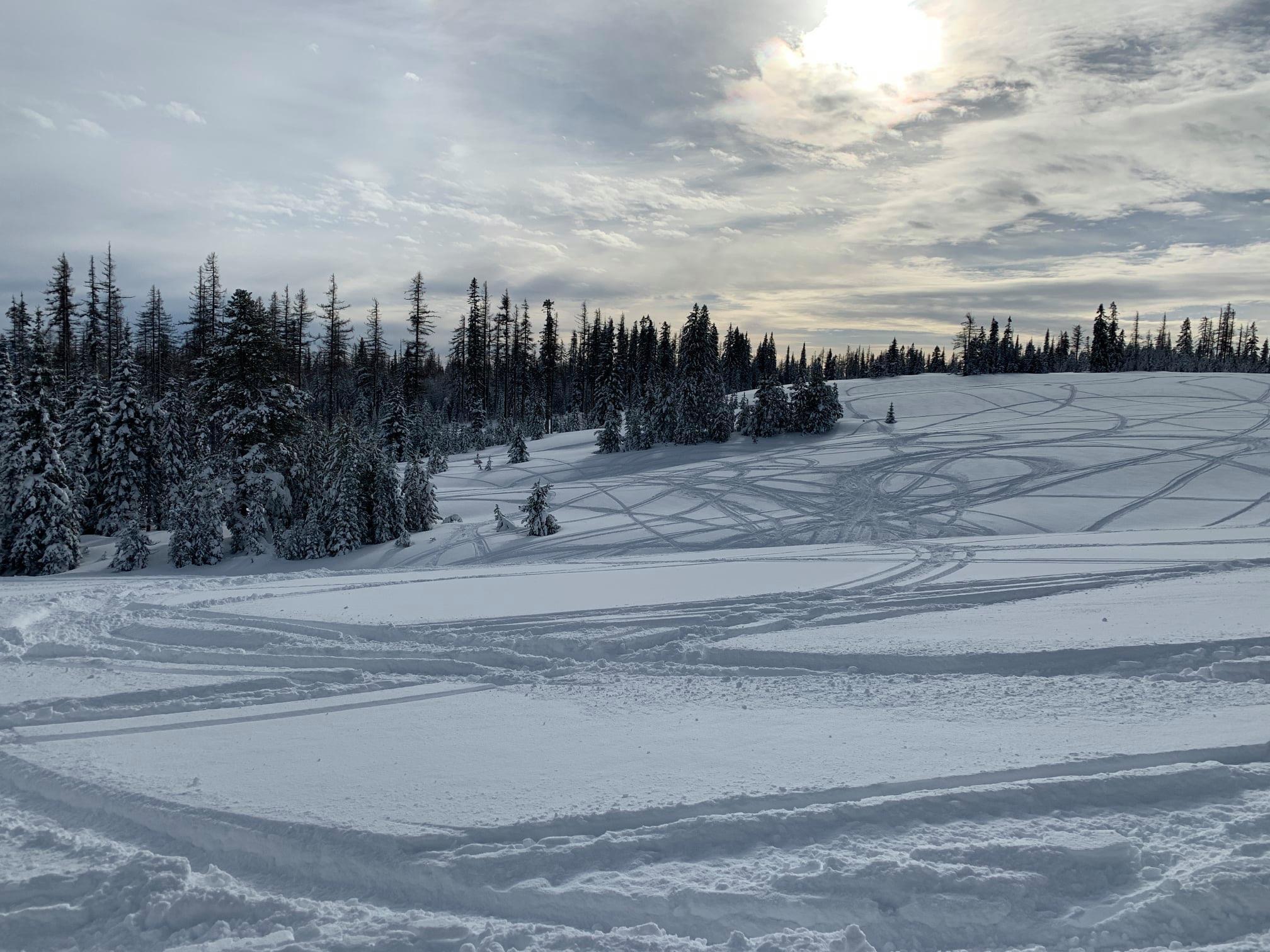 You are currently viewing Please do not ride motorized equipment inside the Horseshoe Prairie non-motorized zone.