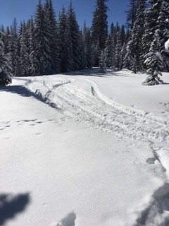 You are currently viewing Snowmobiles in Horseshoe Prairie Nordic Ski Area
