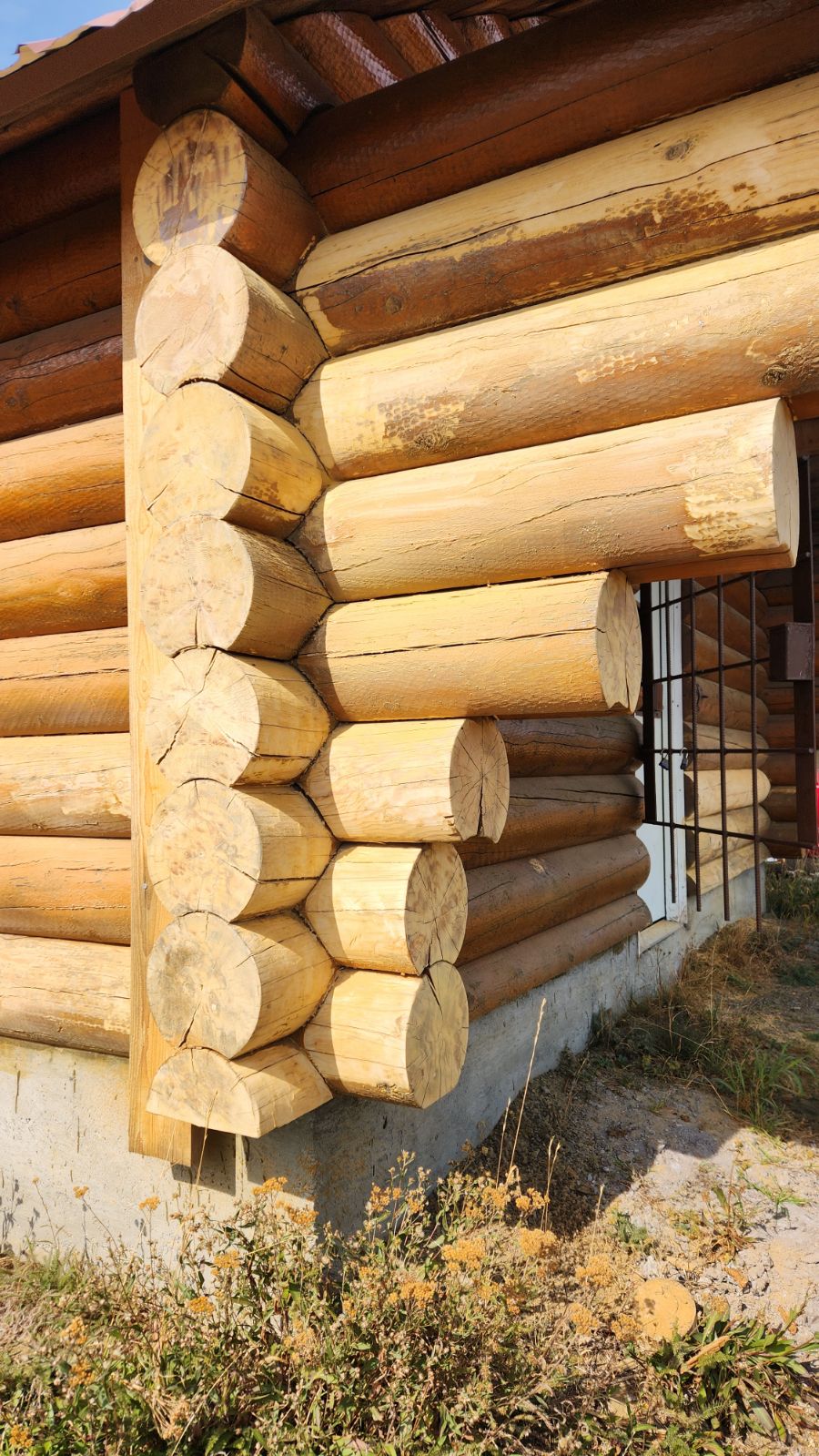 You are currently viewing Bone Springs Shelter Work Party